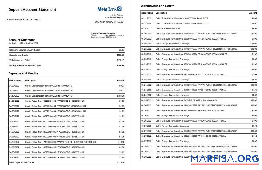 Downloadable USA Metabank deposit account statement word 3 pages real example